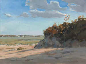 Dune Shadows.jpg (34770 bytes)